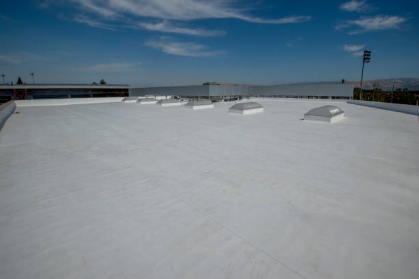 Best Sheet Metal Roofing  in Brazoria, TX