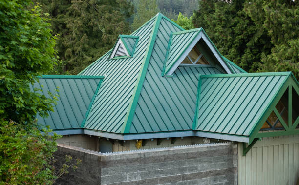 Best Solar Panel Roofing Installation  in Brazoria, TX