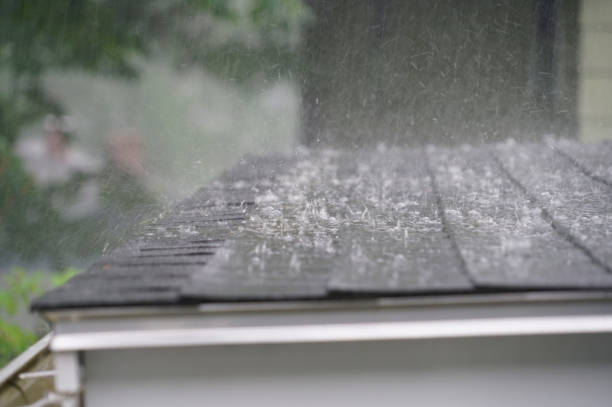 Best Roof Coating and Sealing  in Brazoria, TX