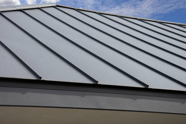 Best Flat Roofing  in Brazoria, TX