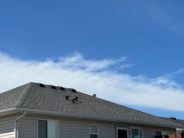 Best Asphalt Shingle Roofing  in Brazoria, TX